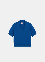 Bleu roi