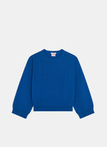 Bleu roi